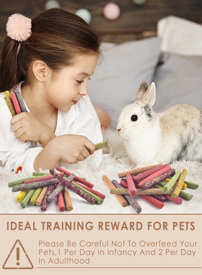 Bissap 108PCS Rabbit Chew Sticks, Mix Natural Timothy Hay Oat Carrot Beet Rose Dahlberg Daisy Myosotis Pumpkin Strawberry Bunny Chews Toy Treat for Chinchilla Guinea Pig Hamster Small Pet Molar Snack - Image 4